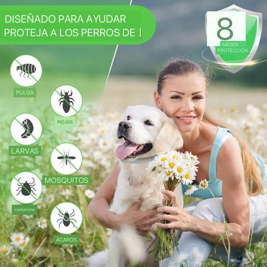 🐾 Collar Antipulgas y Garrapatas – Protección Continua para tu Mascota