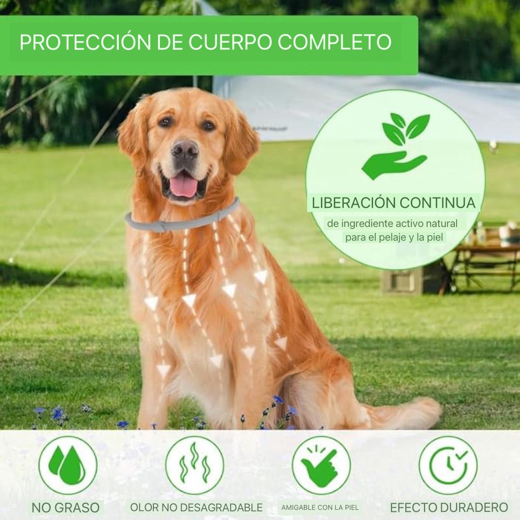 🐾 Collar Antipulgas y Garrapatas – Protección Continua para tu Mascota