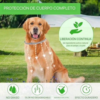 🐾 Collar Antipulgas y Garrapatas – Protección Continua para tu Mascota