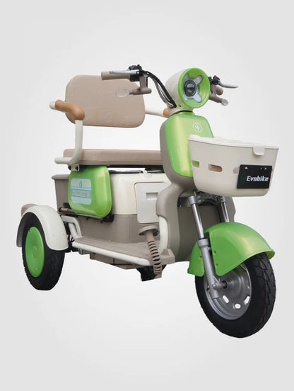 MOTONETA ELÉCTRICA FAMILY Q 3 PUESTOS | Potencia, comodidad y ahorro en cada recorrido