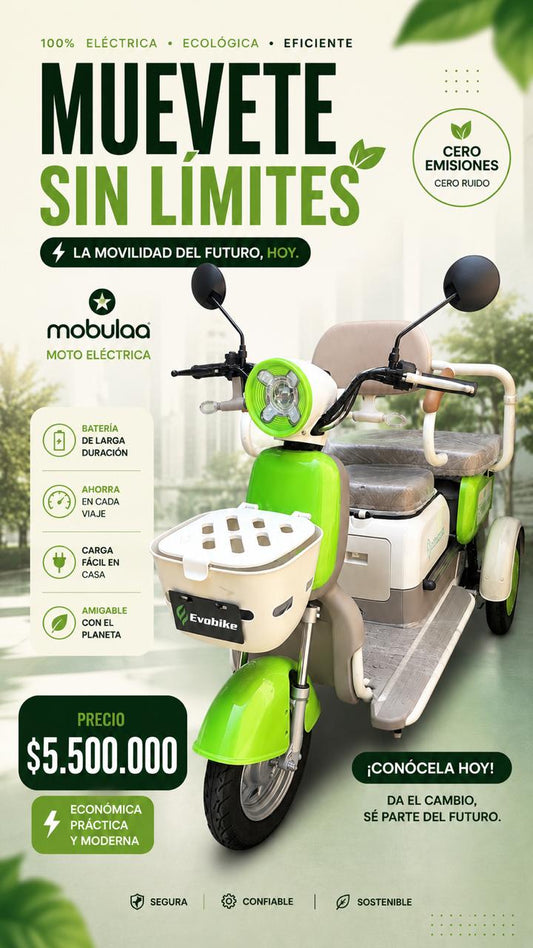 MOTONETA ELÉCTRICA FAMILY Q 3 PUESTOS | Potencia, comodidad y ahorro en cada recorrido